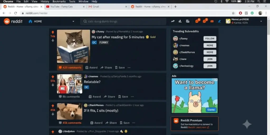 Funny Screen Names Reddit