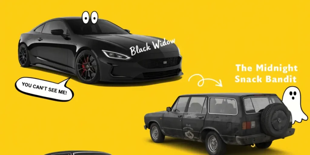 Funny Car Names For Black Cars