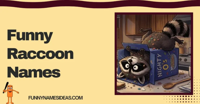 Funny Raccoon Names